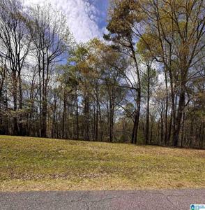 lot 12 WRIGHT WAY DRIVE