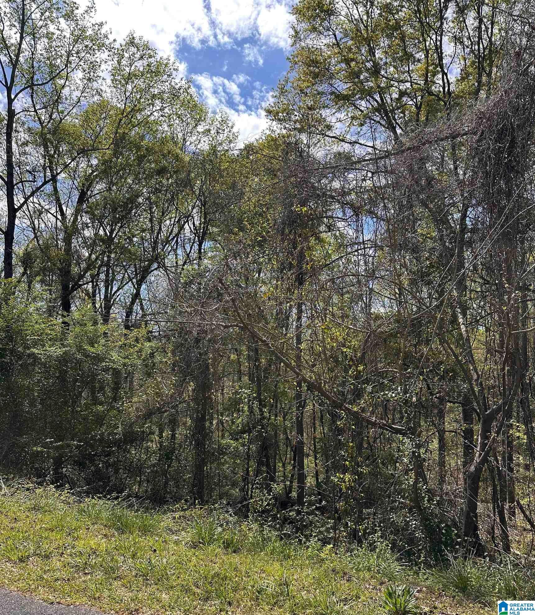 Image 1: View