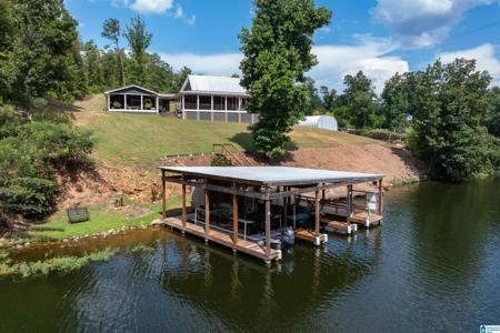 863 COUNTY ROAD 481