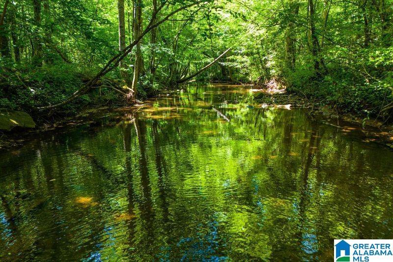 Image 1: COHOBADIAH CREEK