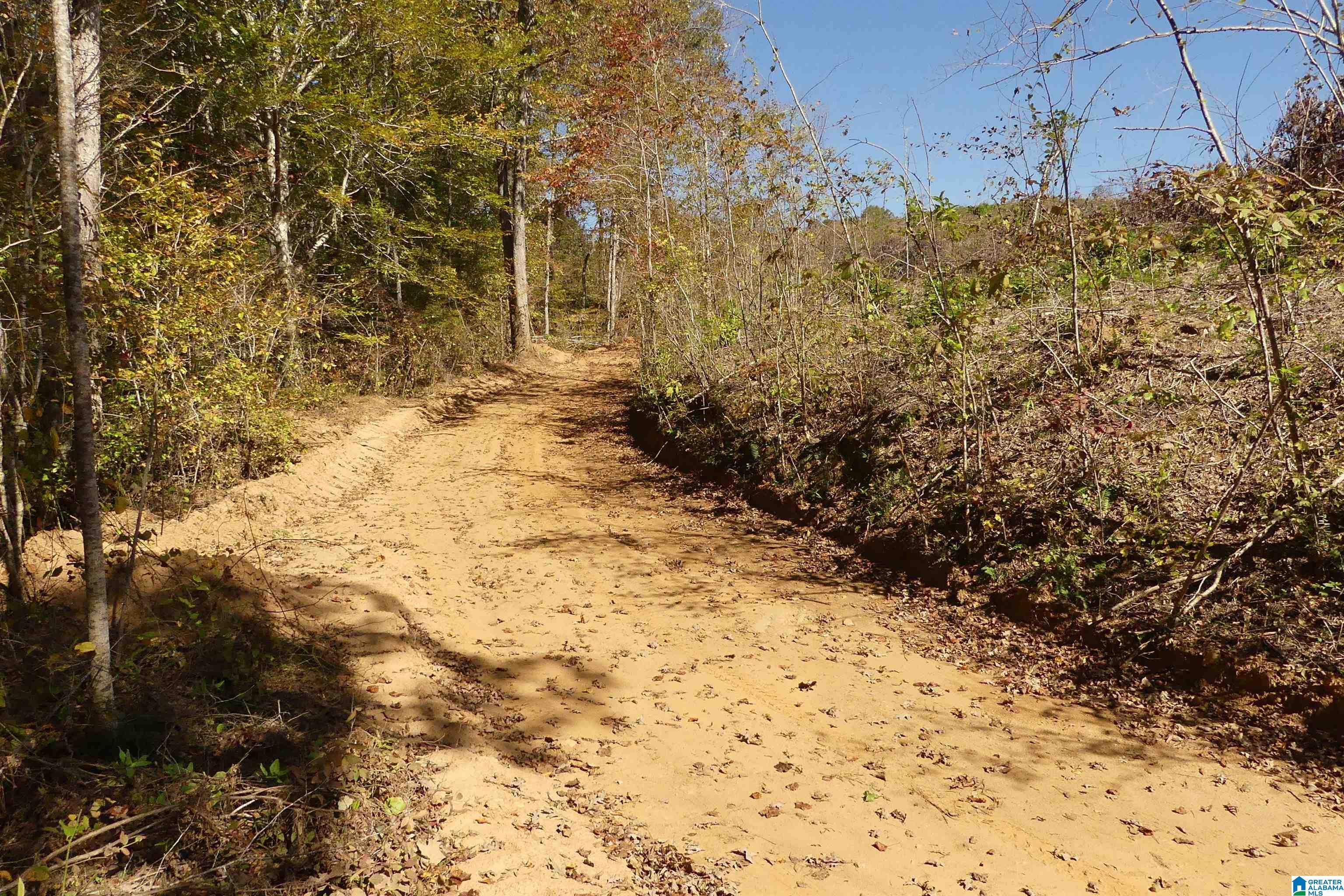 Image 3: INTERIOR ROADS