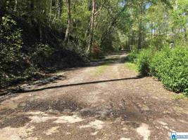 138 CO RD 217