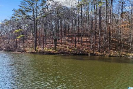Lot 5 BIG Y COVE LOOP