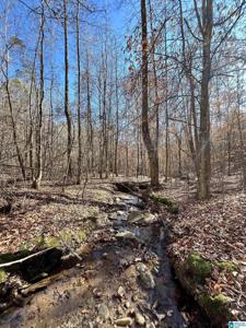 0 COUNTY ROAD 432