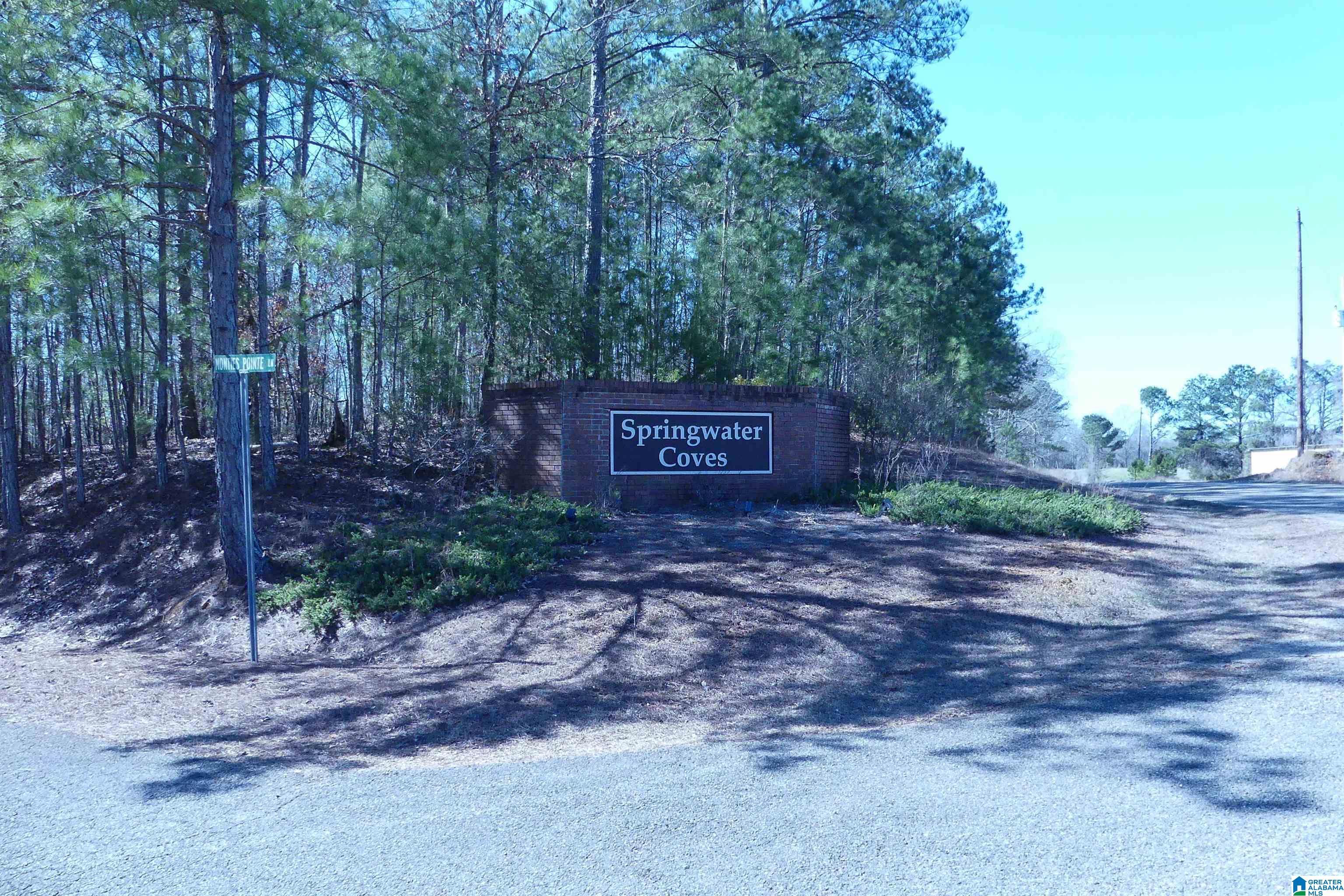 Image 4: SPRINGWATER COVE S/D