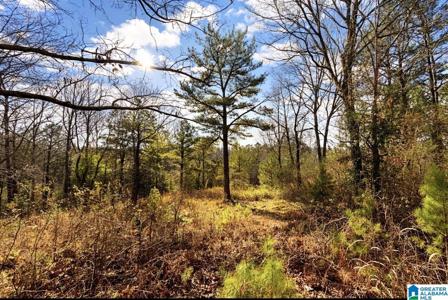 1344 DENAS COVE ROAD