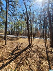 Lot 40 STILLWATERS DRIVE