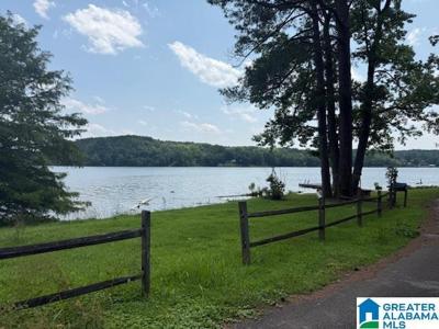 217 SMITH CAMP ROAD