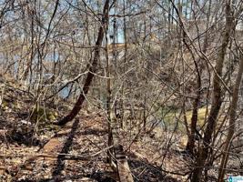 Lot 16 COUNTY ROAD 169