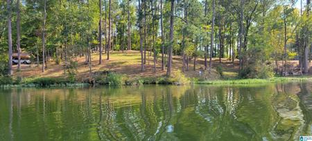 1830 MIMOSA POINT ROAD