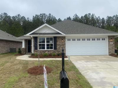 207 WATERFORD LAKE DRIVE