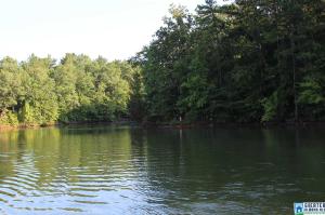 8 Acres CO RD 2811 Lot 8 acres