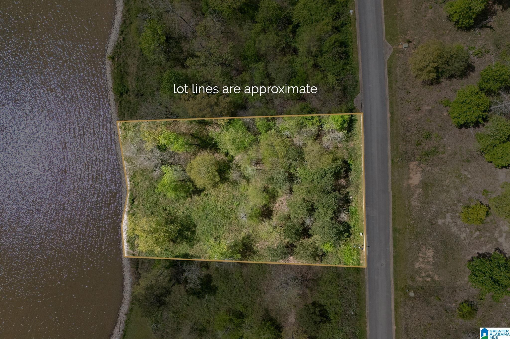 Image 2: Aerial View
