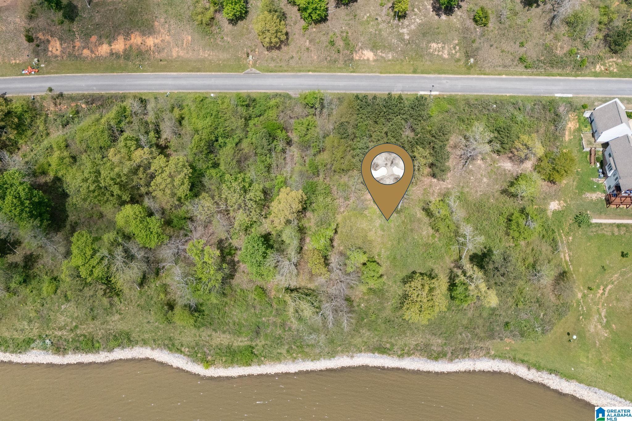 Image 3: Aerial View
