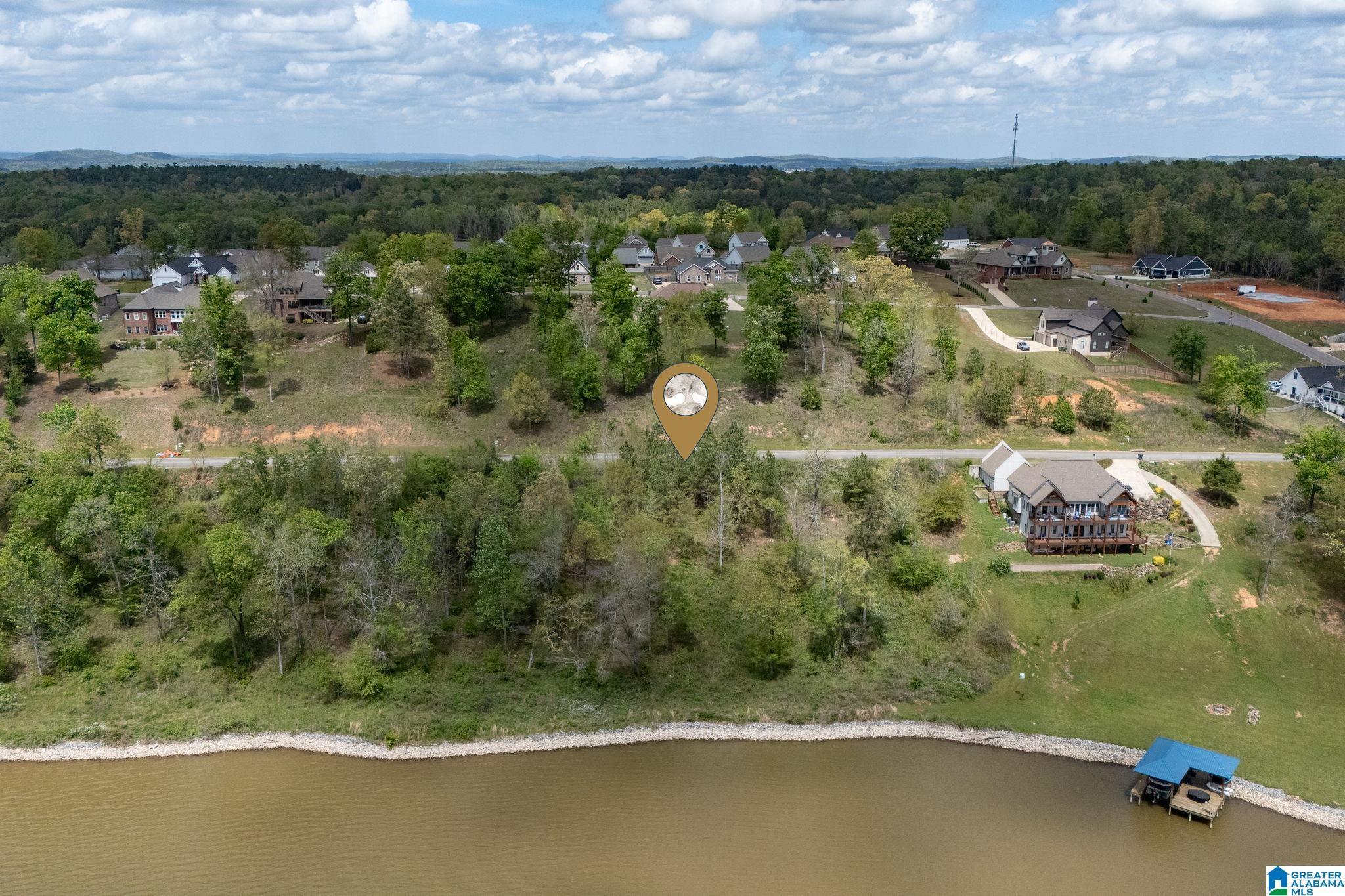 Image 4: Aerial View