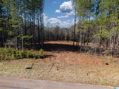 0 COUNTY ROAD 432
