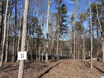Lot 11 COUNTY ROAD 499