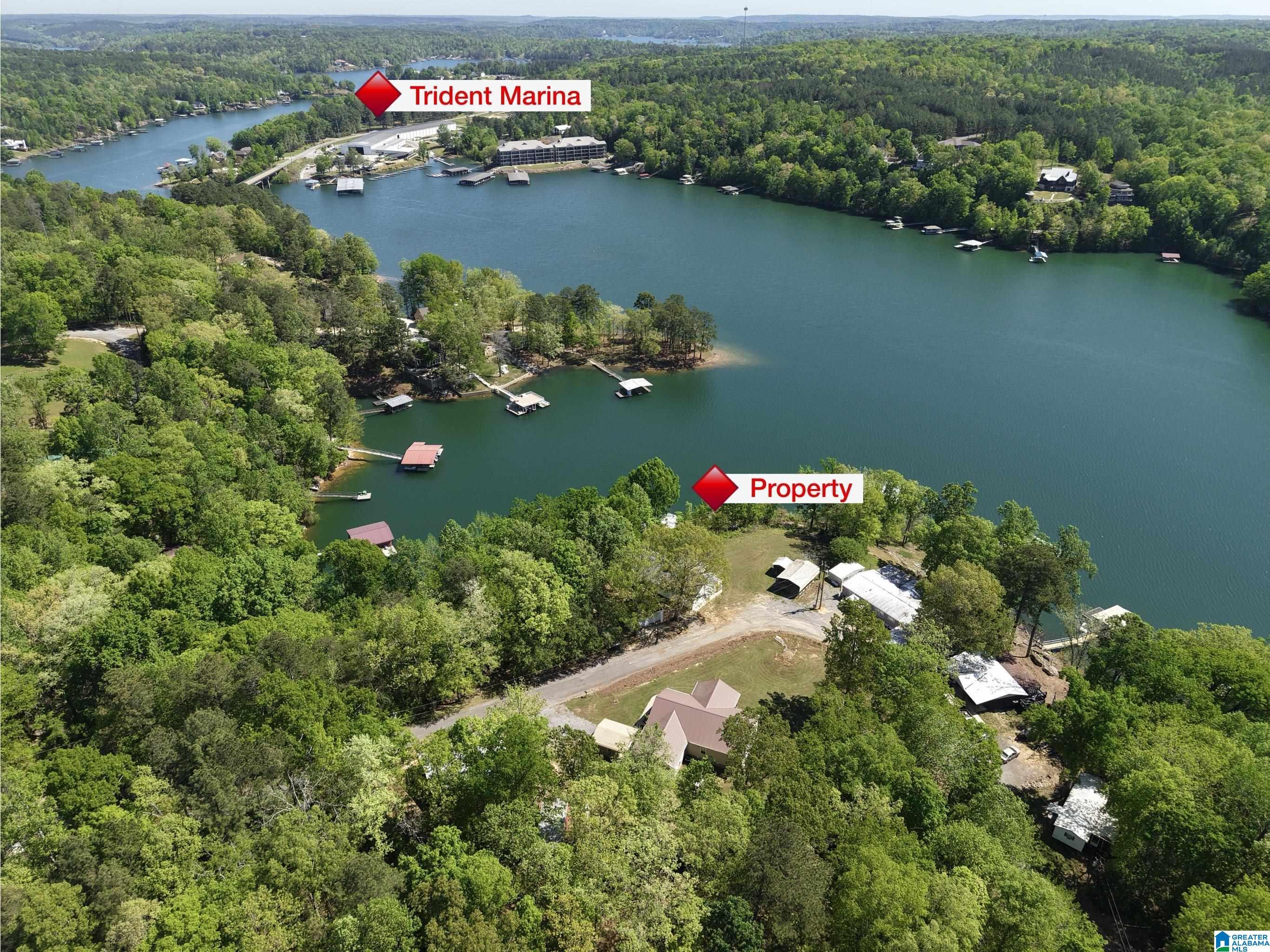 Image 2: Aerial View