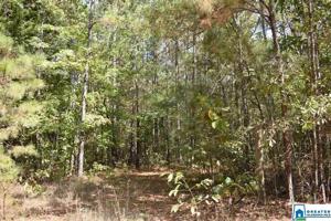 Lot 23.05 CO RD 249
