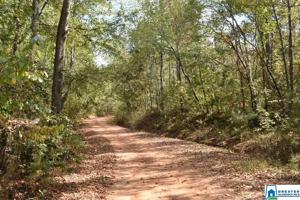 Lot 23.05 Acres CO RD 249