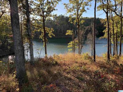 0 COUNTY HIGHWAY 162