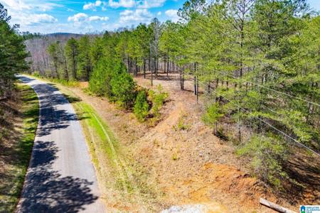 23 ACRES COUNTY ROAD 7