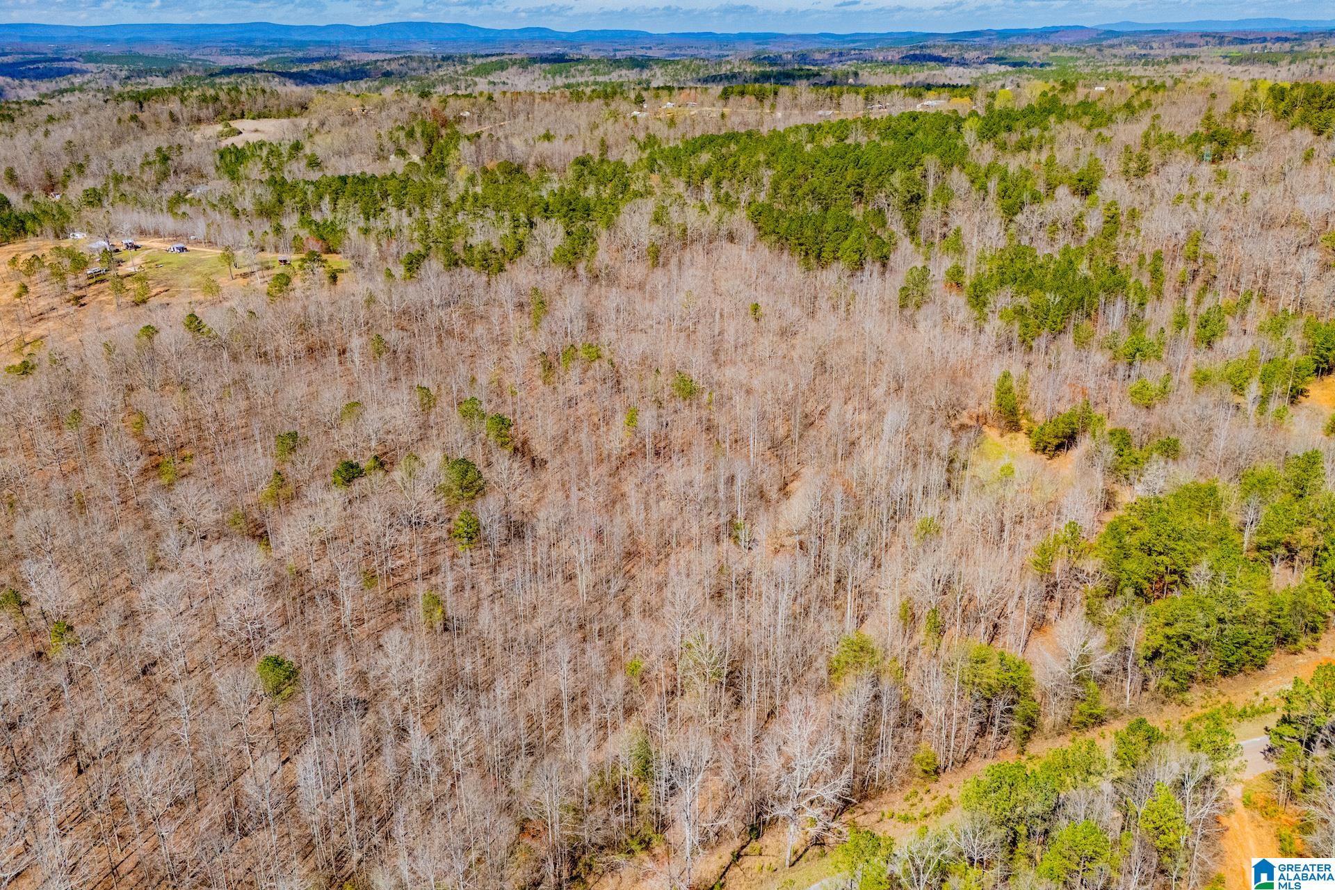 Image 3: AERIAL DRONE PHOTO