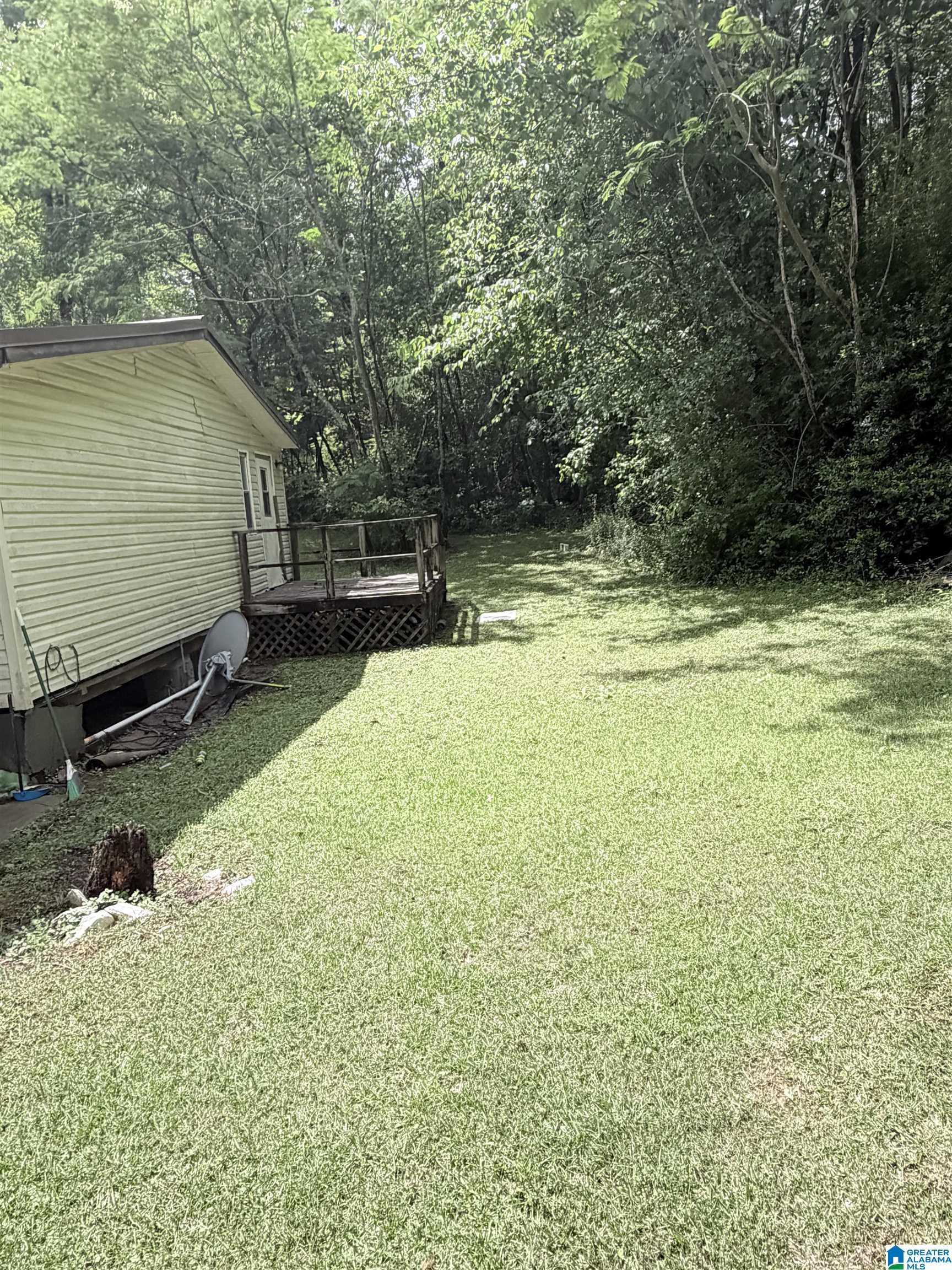 Image 3: Yard