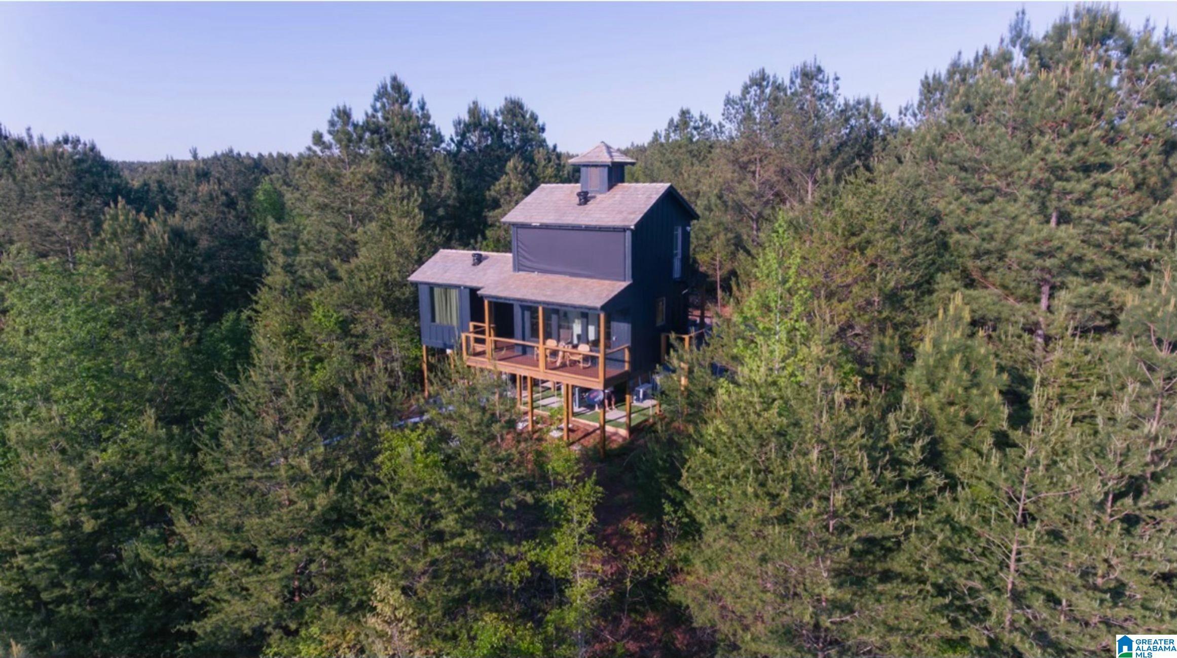 Image 2: Aerial View