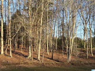 Lot 7 COUNTY ROAD 499