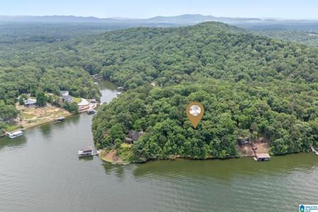 1205 LAKE RIDGE LANE
