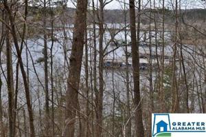 Lot 3A, 28, 29 CASTLE ROCK DR