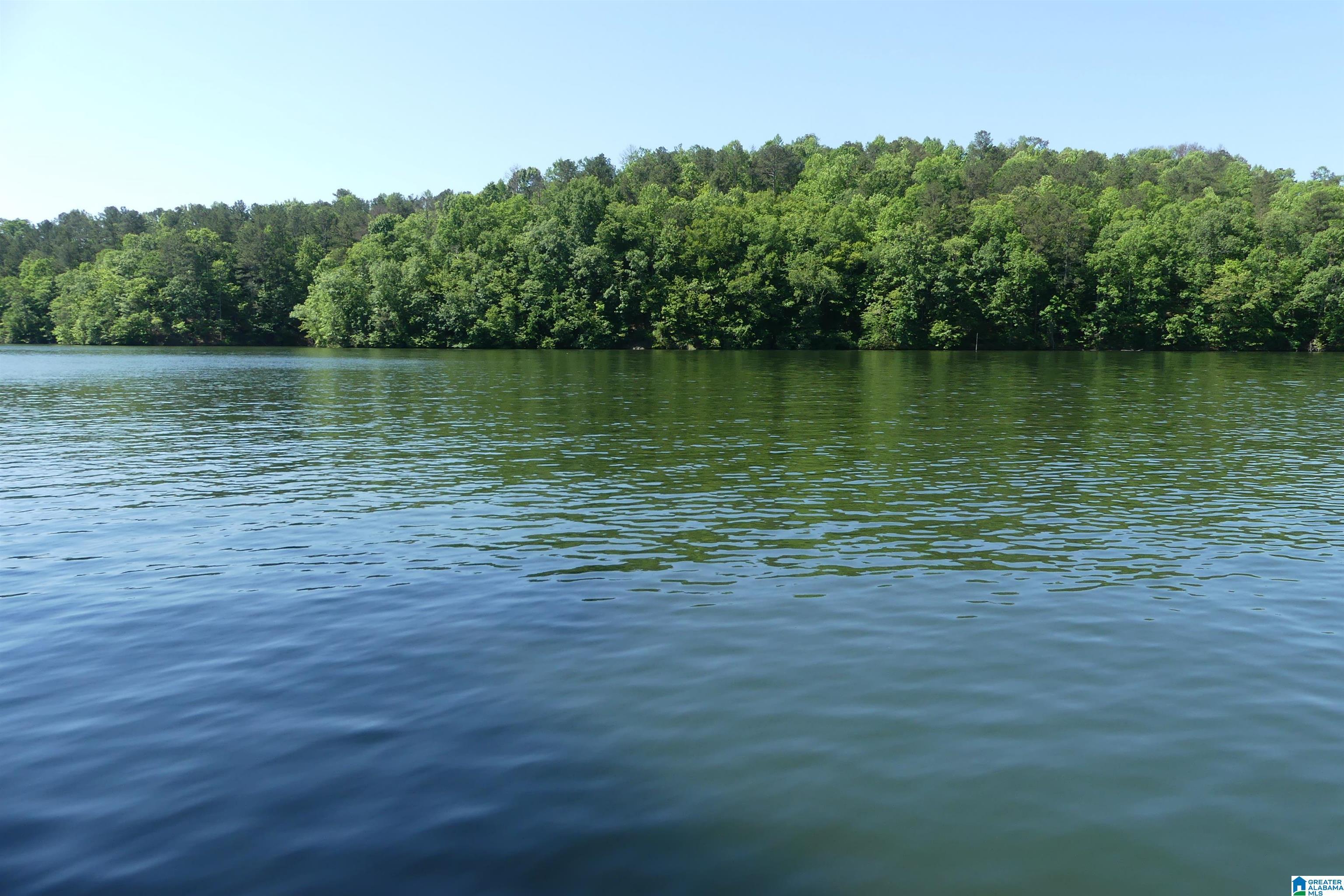 Image 1: SKYRIDGE RETREAT ON LAKE WEDOWEE