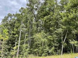 Lot 30 COUNTY ROAD 214