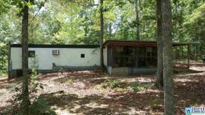 154 SWAGG COVE DR
