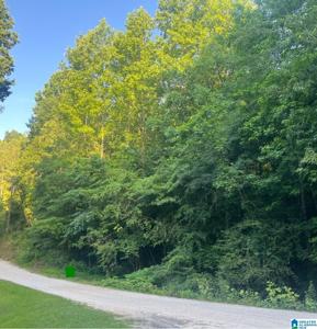 Lot 6.36 acres COUNTY ROAD 8023