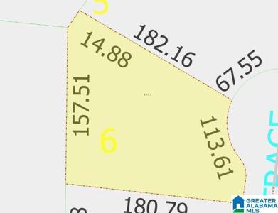 1013 MOUNTAIN TRACE