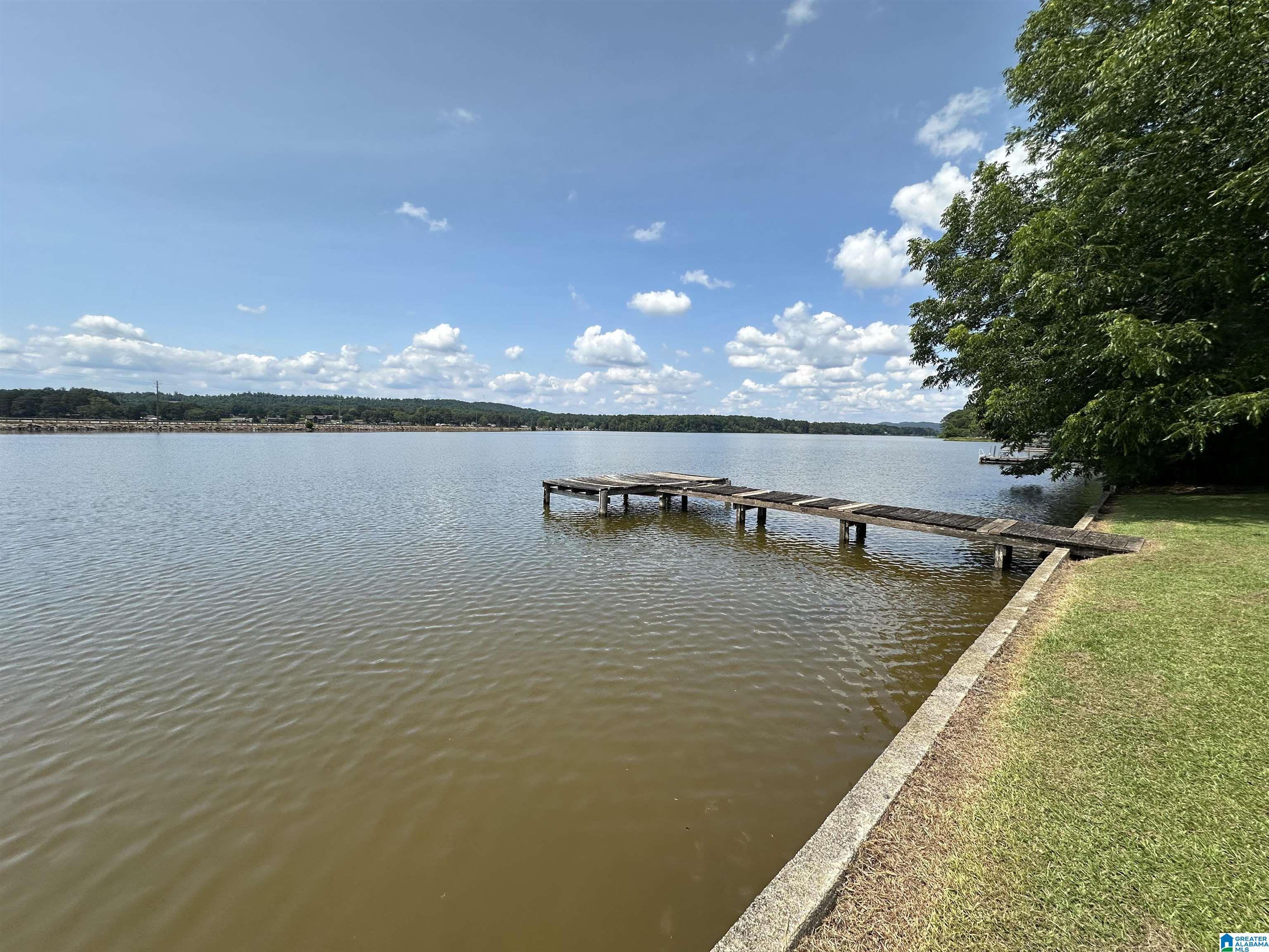 Image 1: Dock