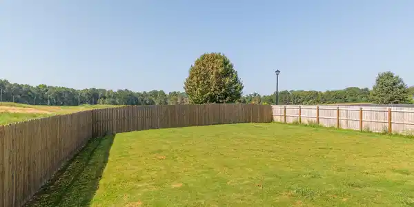 Image 4: Yard