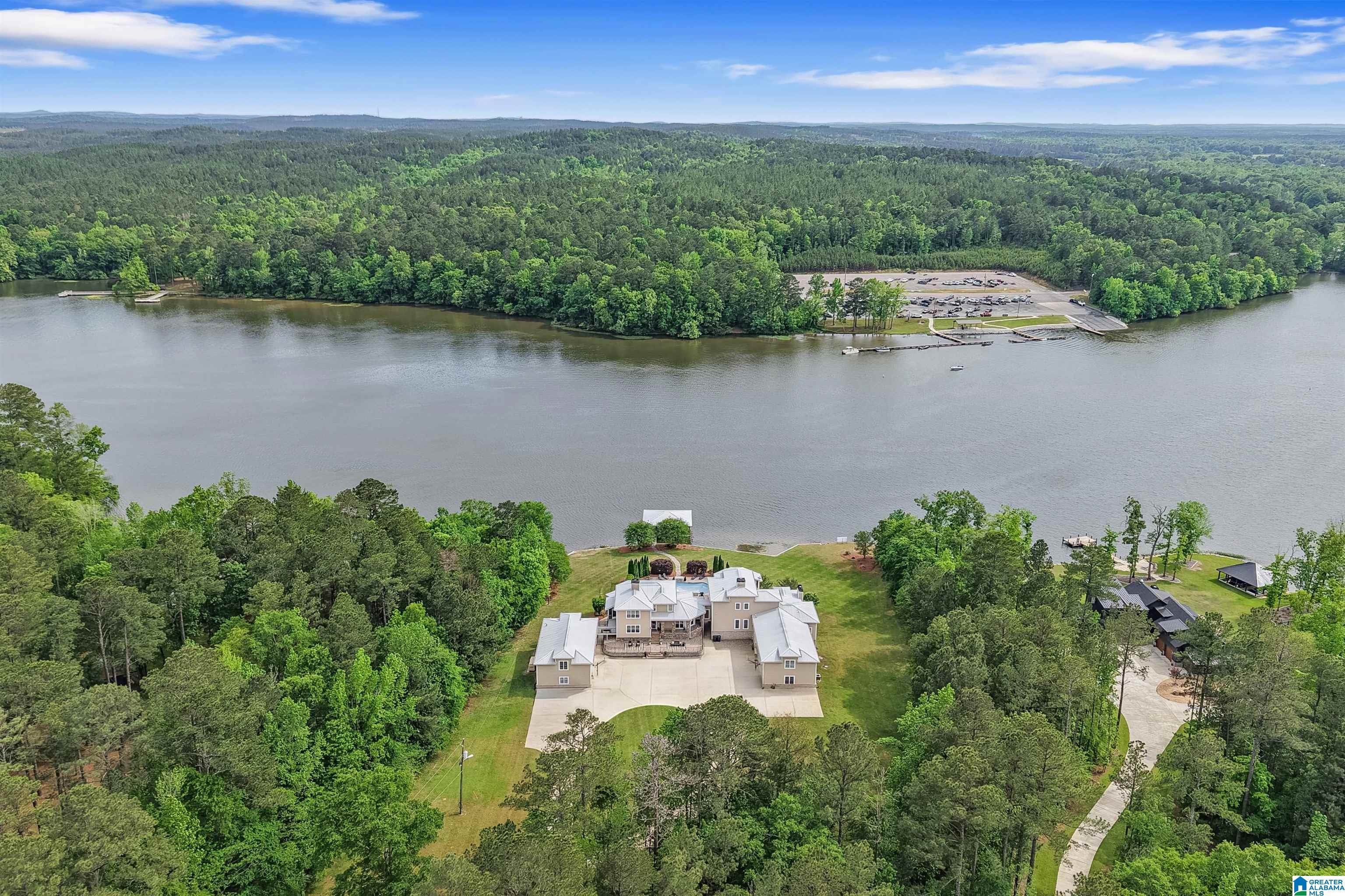 Image 4: Aerial View