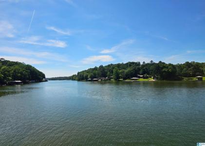 793 SHELTON SHORES DRIVE