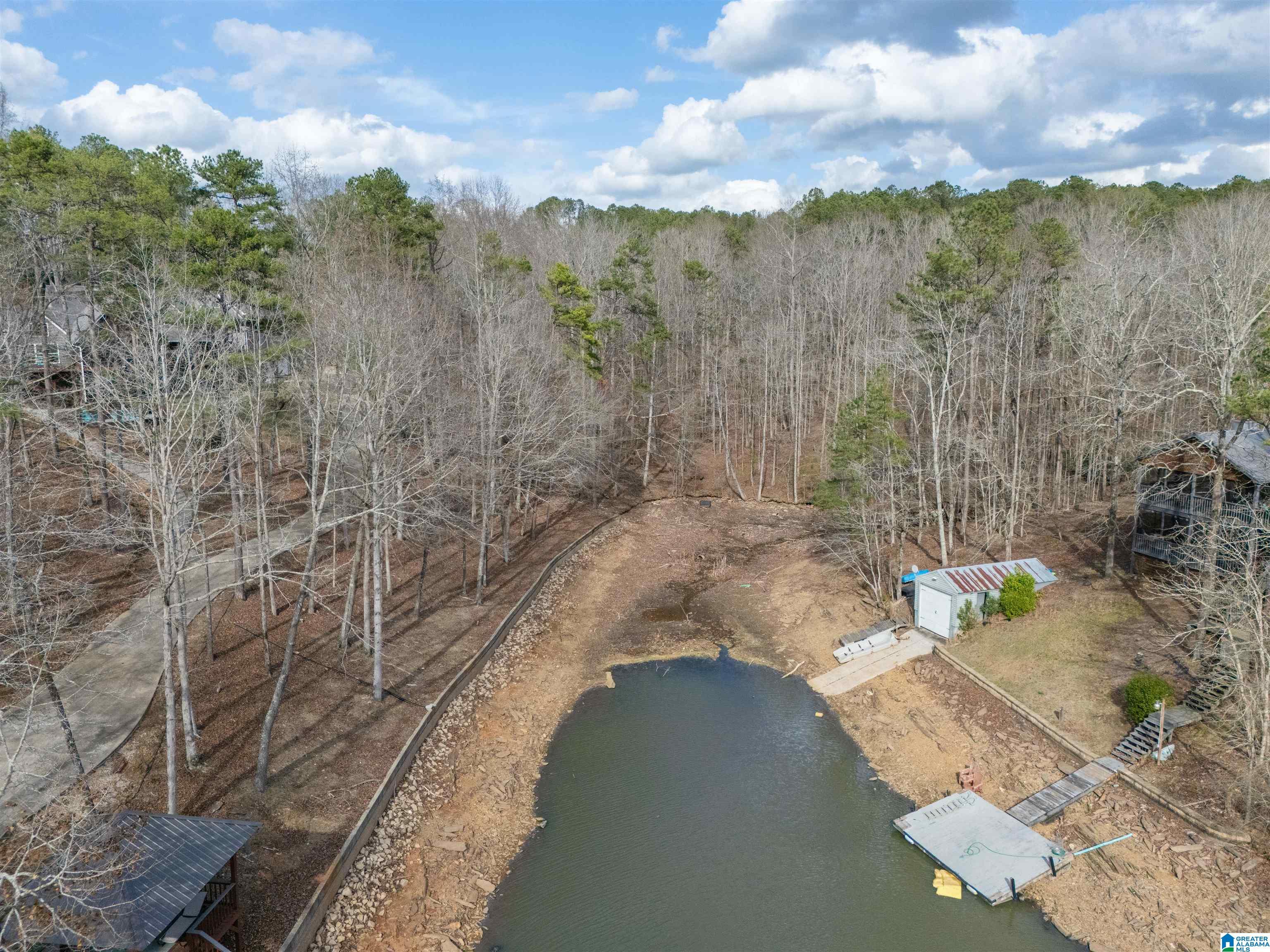 Image 4: Aerial View