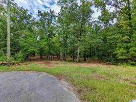 Lot 2 LAKE FRONT TRAIL