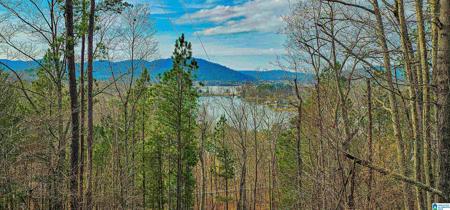 285 MOHAWK TRAIL