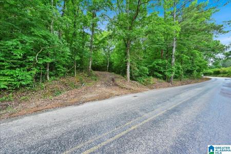 173 COUNTY ROAD 282