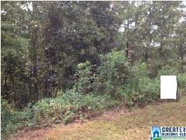 Lot 12 LASKA DR