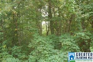 Lot 3 CO RD 82