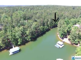 Lot 13 BLUEBIRD DR