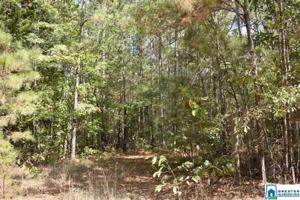 Lot 23.05 CO RD 249