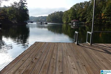 199 RIVER BIRCH ROAD